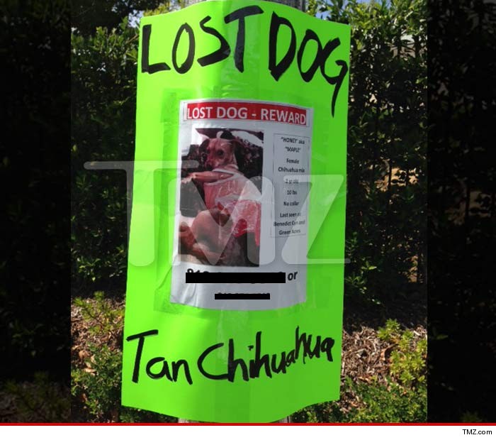 0825-suri-cruise-dog-poster-tmz-01