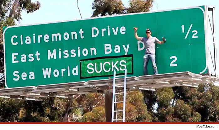 0904-steve-o-sea-world-sucks-youtube-01