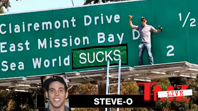 Steve-O -- Taunts Cops After SeaWorld Stunt Come Get Me! | TMZ.com
