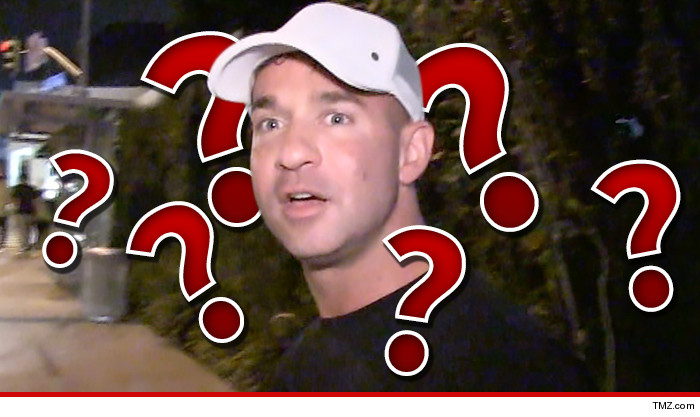 The Situation Tax Fraud