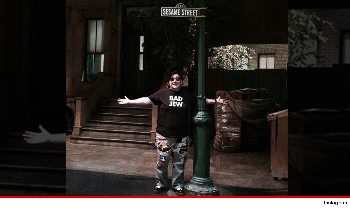 1104-lea-delaria-instagram-sesame-street-
