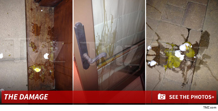 0211-justin-bieber-egg-egging-damage-footer-1