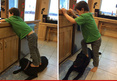 Sarah Palin -- Blasted for Pic of Trig Standing on a Dog