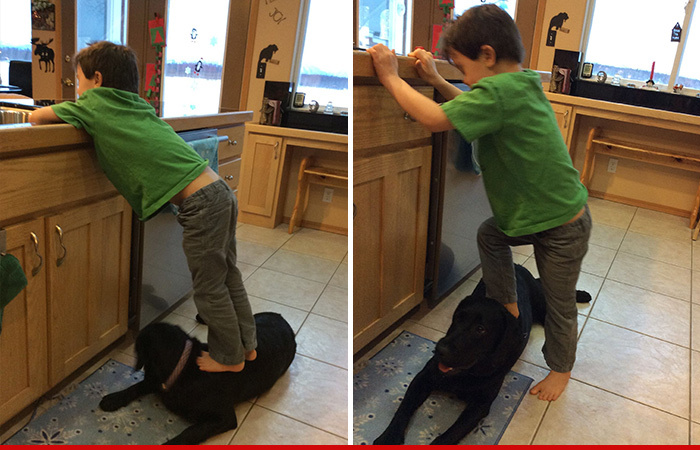 Sarah Palin -- Blasted for Pic of Trig Standing on a Dog