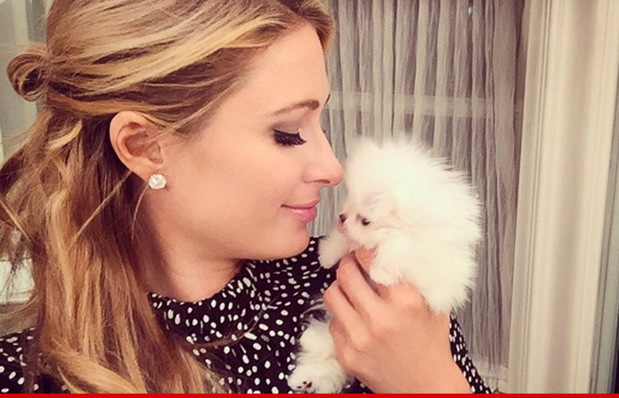 Paris Hilton -- Drops $25K for One Pound of Dog