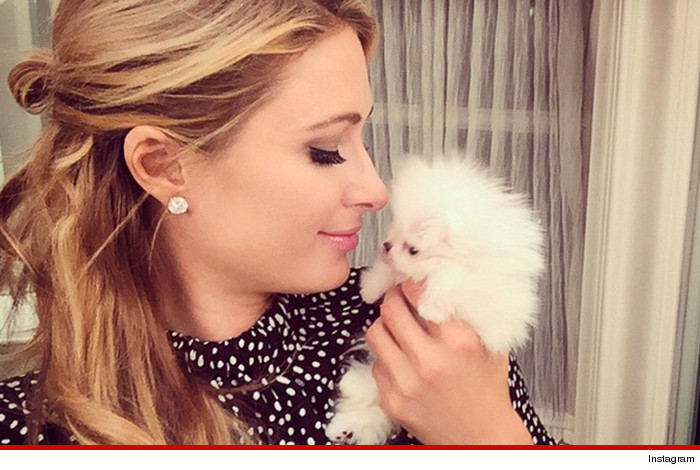 0107-paris-hilton-puppy-instagram-01