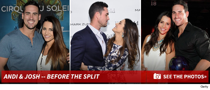 0108_andi_dorfman_josh_murray_split_footer