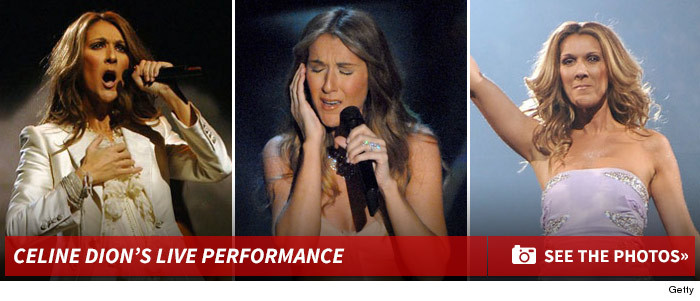 0112_celine_dion_performance_footer
