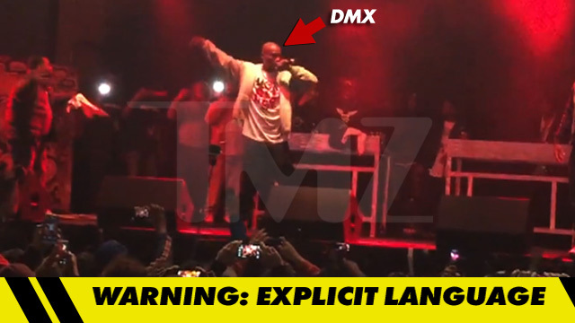 DMX -- This Dog Has NEVER Had a Bone