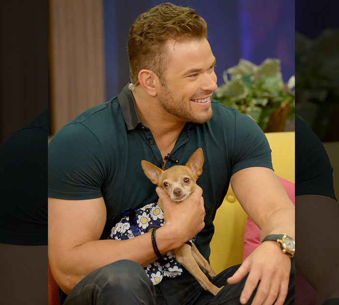 Meet the Dog With More Famous Friends Than You'll Ever Have