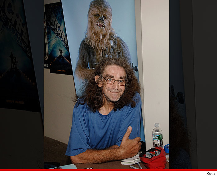 0119-peter-mayhew-getty-01