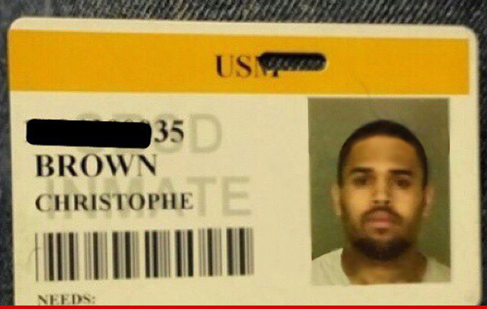 Chris Brown Jail ID Card