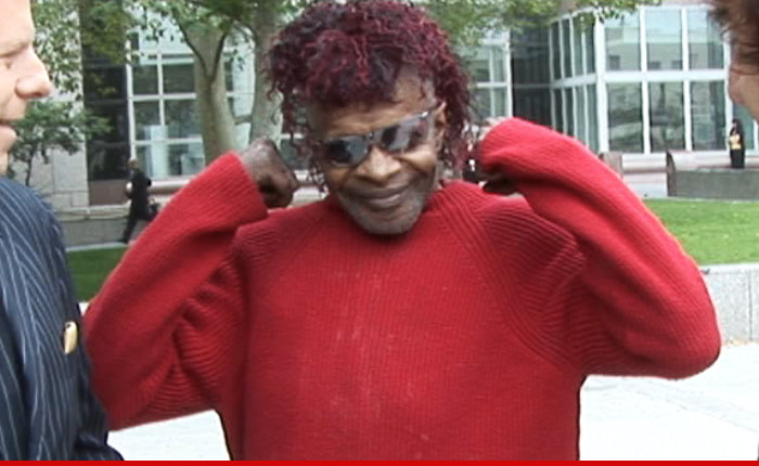 Sly Stone Wins Millions in Family Stone Royalties