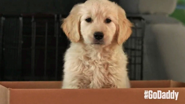 GoDaddy -- Pulls Super Bowl Spot ... Over Puppy Cruelty Backlash