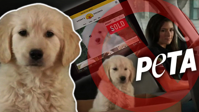 Super Bowl -- GoDaddy's Super Cute Puppy Can't Make the Cut (TMZ TV)