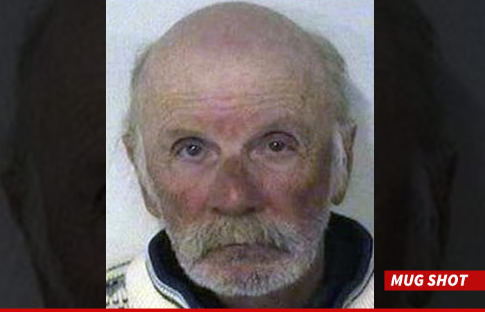 Heidi Montag's Dad Arrested for Child Sexual Abuse and Incest