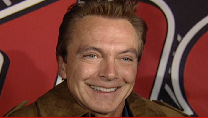David Cassidy -- C'mon Get Happy ... I'm Rehabilitated!