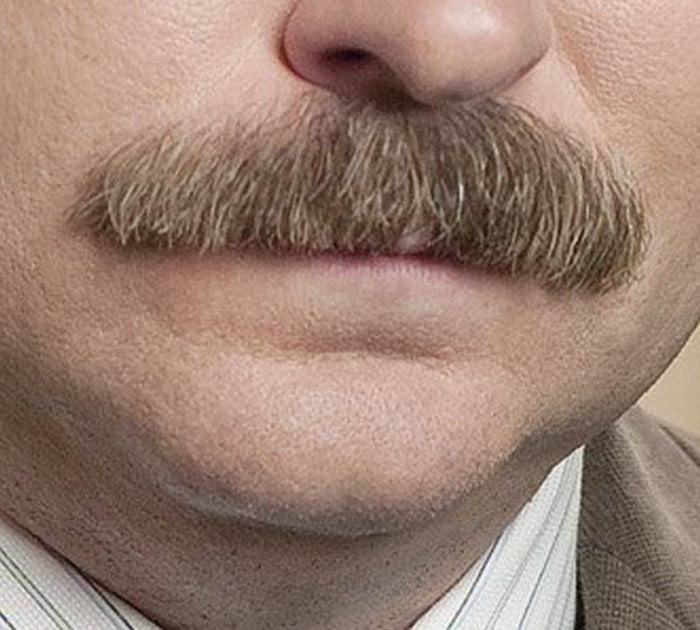 30 Dirty Ron Swanson Mustache Pics To Give "Parks and Recreation" A Prickly Kiss Goodbye