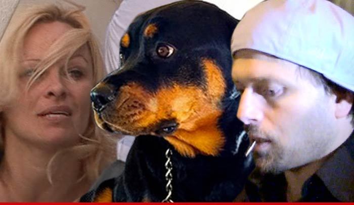 Pam Anderson & Rick Salomon -- 'Missing' Dog Has Been Found, But ...