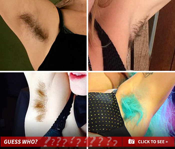 Awesome Armpit Hair  -- Guess The Fuzzy Females!