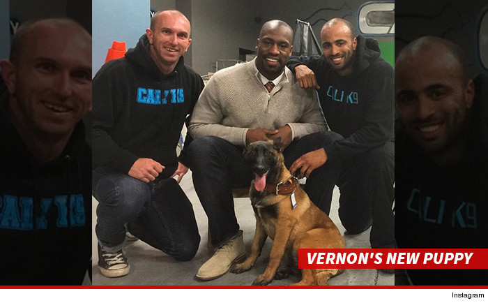 0227-SUB-SWIPE-vernon-davis-dog-sub-instagram-01