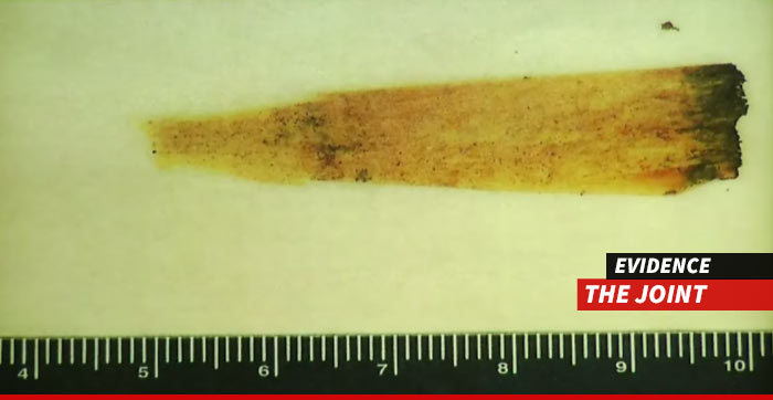 Aaron Hernandez Case -- The Smoking Ganja? .. 1st Pic of Joint Found at Murder Scene