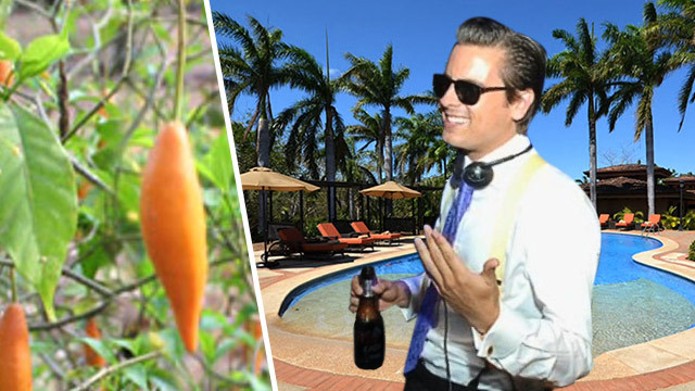 Scott Disick -- Straight Trippin' Into Rehab (TMZ TV)