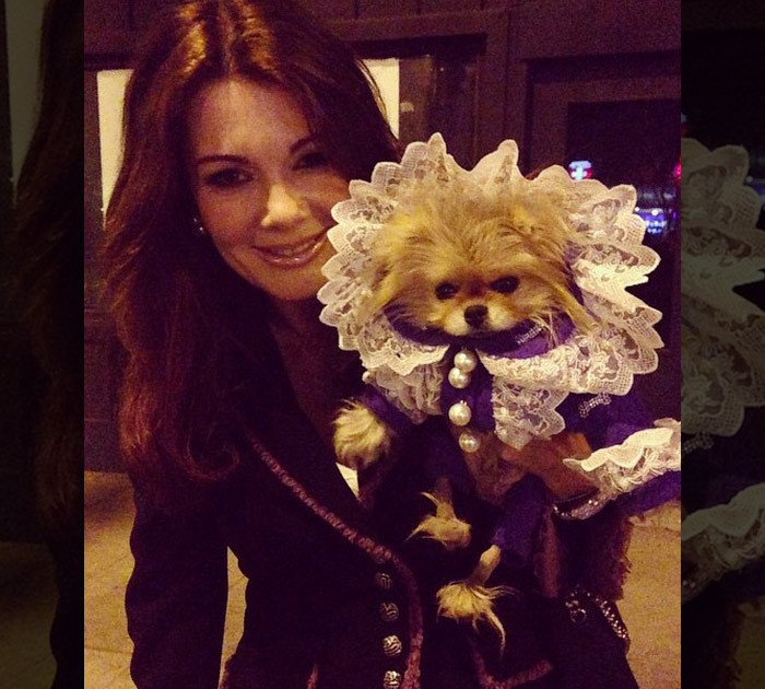 15 Celebrity Dogs Living Better Than You On National Puppy Day