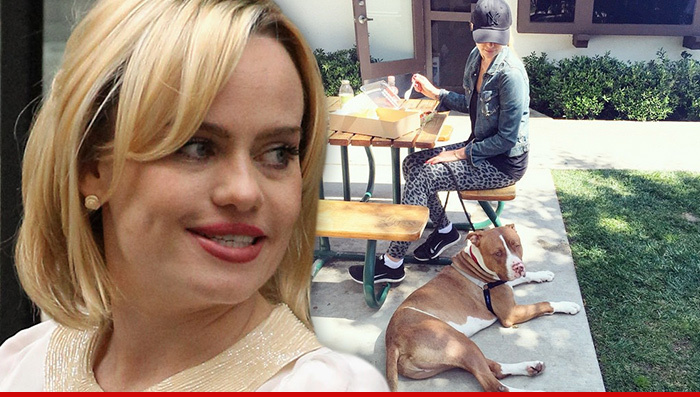 Daisy Fuentes & Duffy -- Show Major Mutt Mercy ... Save Dog From Death