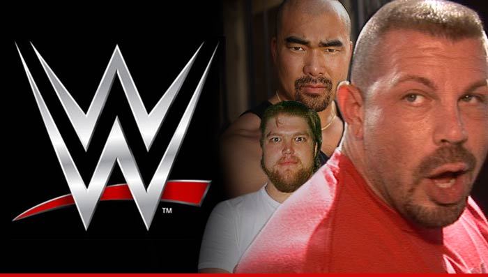 WWE -- Brain Injury Lawsuit Is Nothing But a Cash Grab