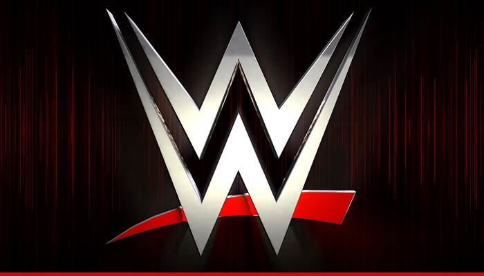 Wrestlers Sue WWE -- We're Being Badgered Brutalized, Brain-Injured