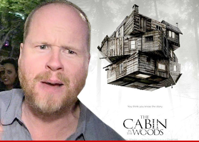 Joss Whedon Sued -- 'Avengers' Director Jacked My 'Cabin in the Woods'