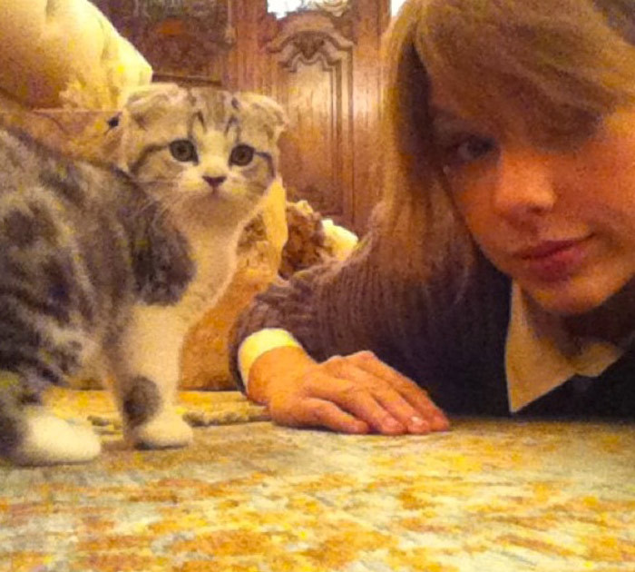 22 of Taylor Swift's Cattiest Moments -- Meow!