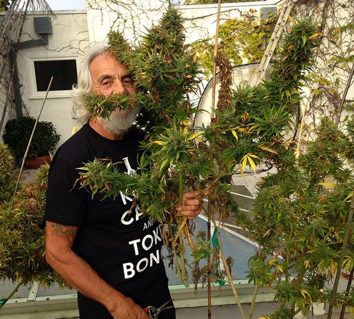 10 Green Thumb Celebs You Need To Be Following On Instagram For 4/20