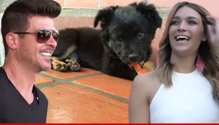 Robin Thicke -- Furred Lines ... Going Stupid 4 New Puppy