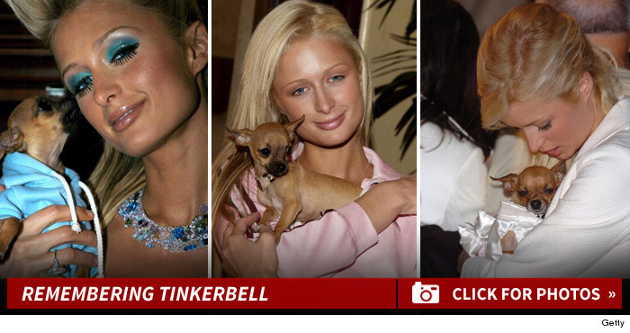 0421_remembering_tinkerbell_footer