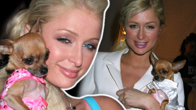 Paris Hilton -- Peace Out Tinkerbell ... Ya Lived Better Than Us (TMZ TV)