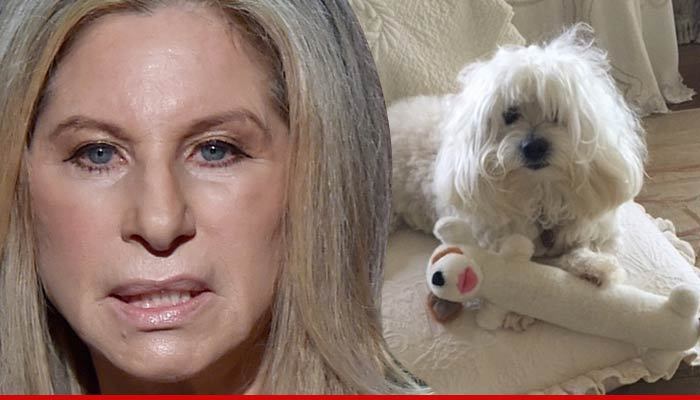 Barbra Streisand -- Bitch Attacks Flight Attendant
