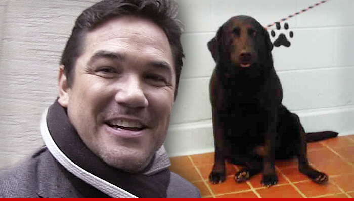 Dean Cain -- Dog Gone Astray ... Saves Pooch From Animal Pokey