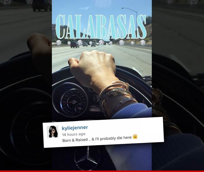 Kylie Jenner -- DWI -- Driving While Instagramming (PHOTO)