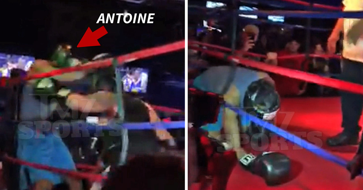 Antoine Dodson -- Suffers Softest KO Of All Time ... In Celebrity Boxing Match