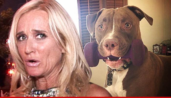 Kim Richards -- She's Gotta Pay Up for Pit Bull Attack