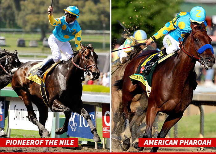 American Pharoah -- My Dad's Sperm Is Hotter Than Ever!