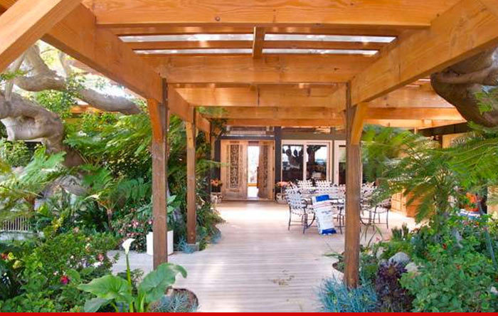 Robin Thicke -- Party's Over ... I'm Chillin' Out in Malibu