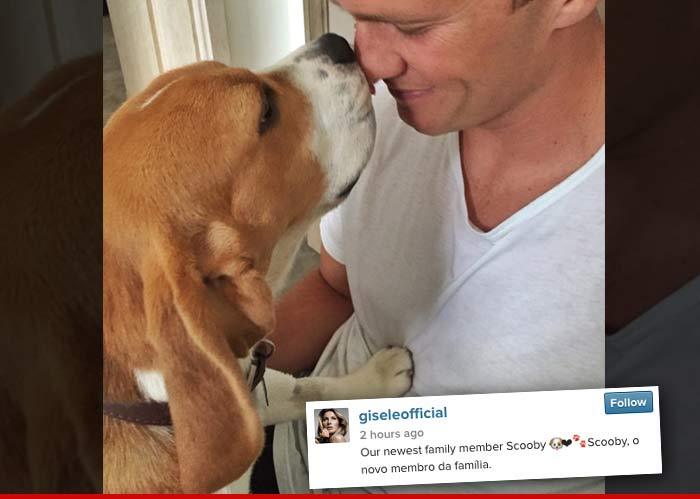 Tom Brady -- New Family Dog ... I'll Be Cleaning Up Scooby's Doo (PHOTO)