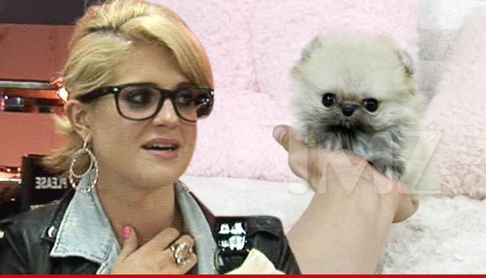Kelly Osbourne -- I’m Spending Thousands On These Bitches