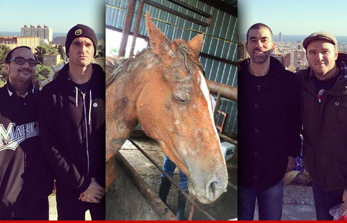 New Found Glory -- Band Connects with Horse ... Saves Her From Death Row