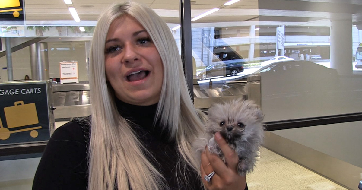 Kelly Osbourne -- How Her New Dog Got So Damn Small!!!