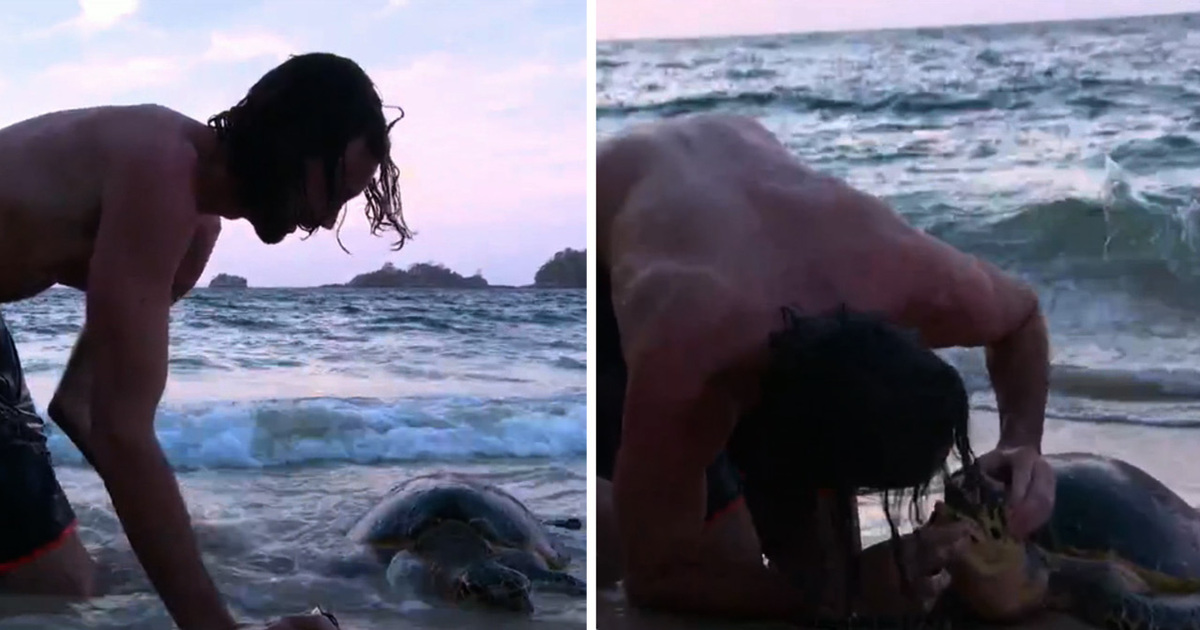 ‘The Island With Bear Grylls’ -- Mouth To Mouth Saves Endangered Turtle