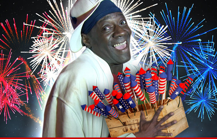 Flavor Flav -- Fireworks Criminal Case Fizzles